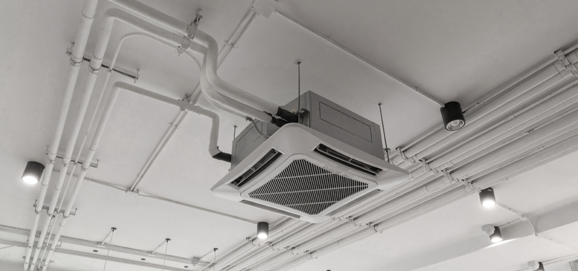 fan grubu3